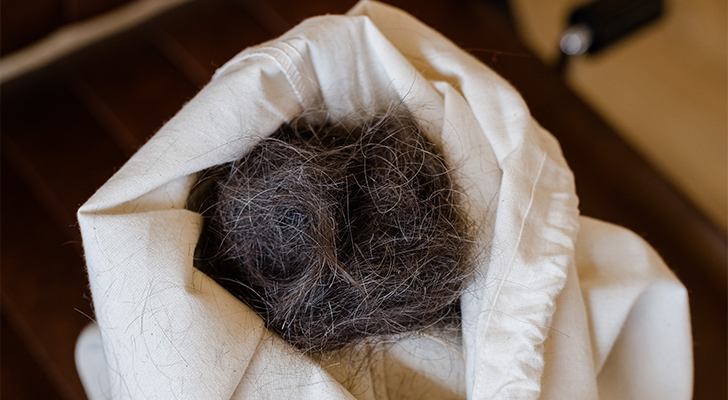 Abgeschnittene Haare wurden in einem Baumwollbeutel gesammelt.